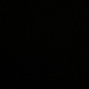 Meet your Posher, Evie